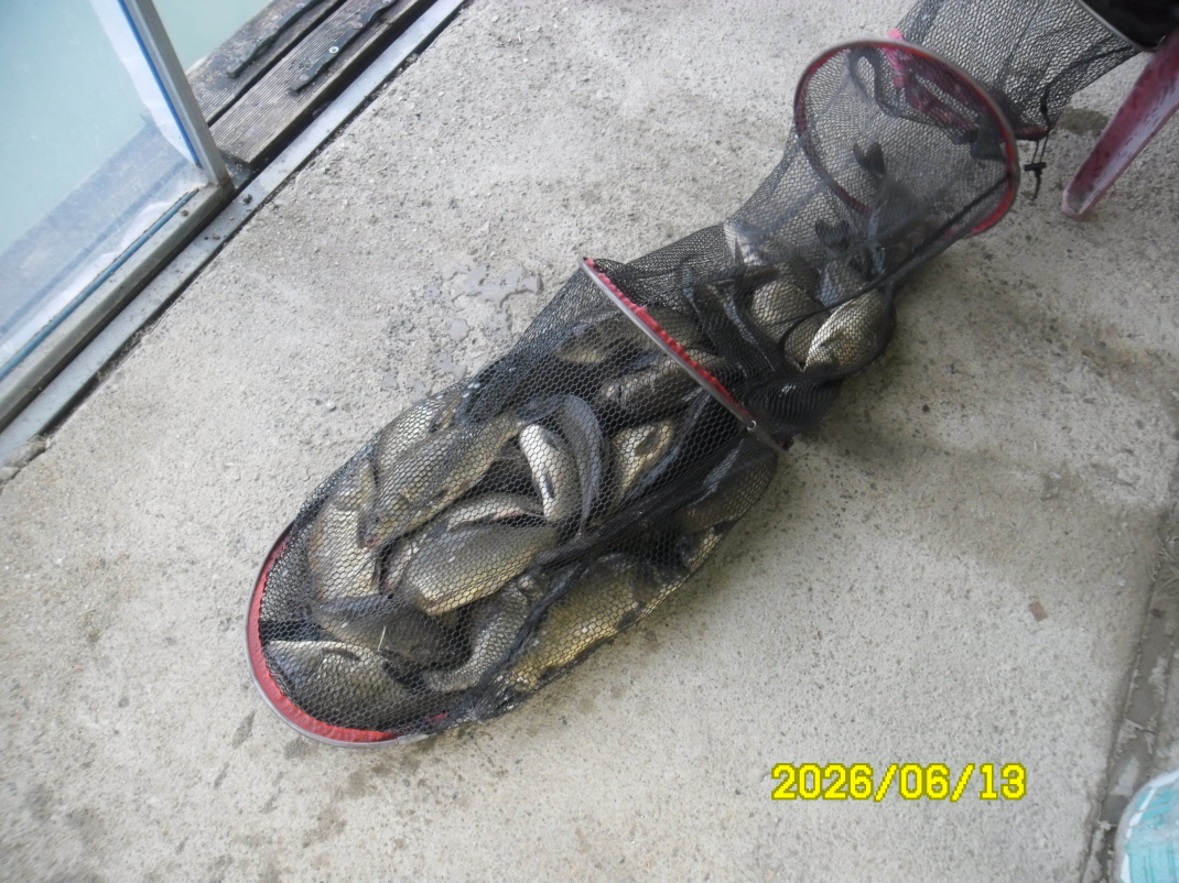 SAM_0517.JPG