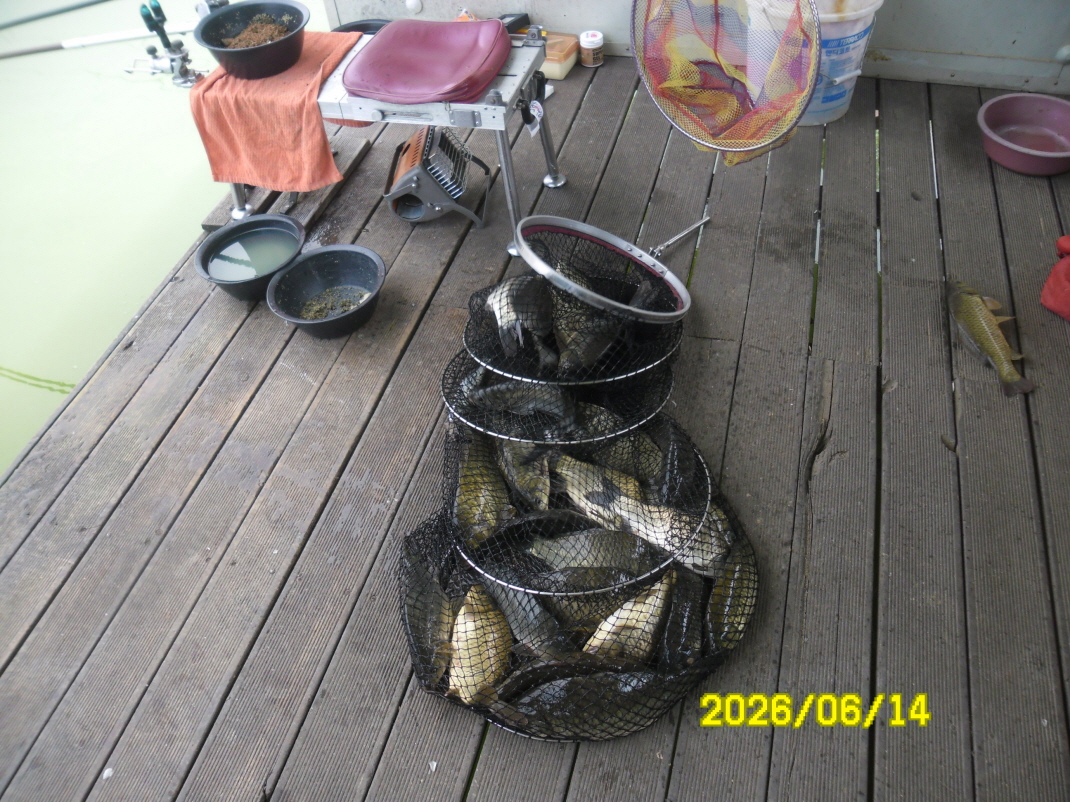 SAM_0526.JPG