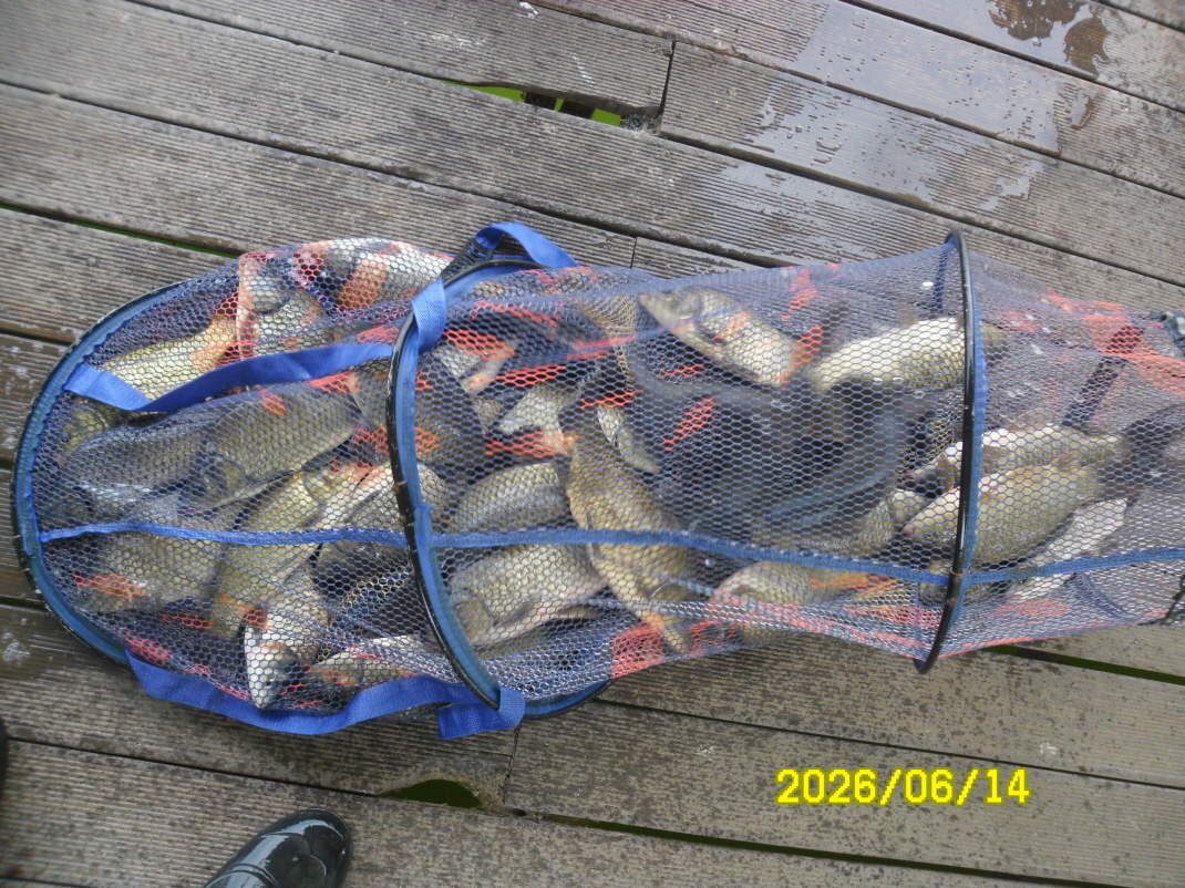 SAM_0530.JPG