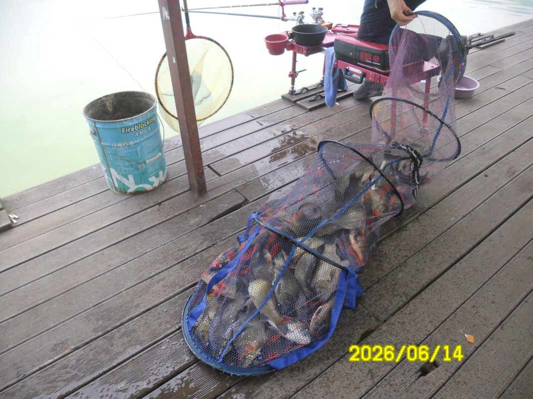 SAM_0529.JPG