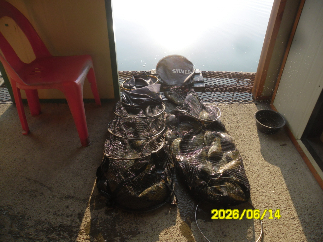 SAM_0535.JPG