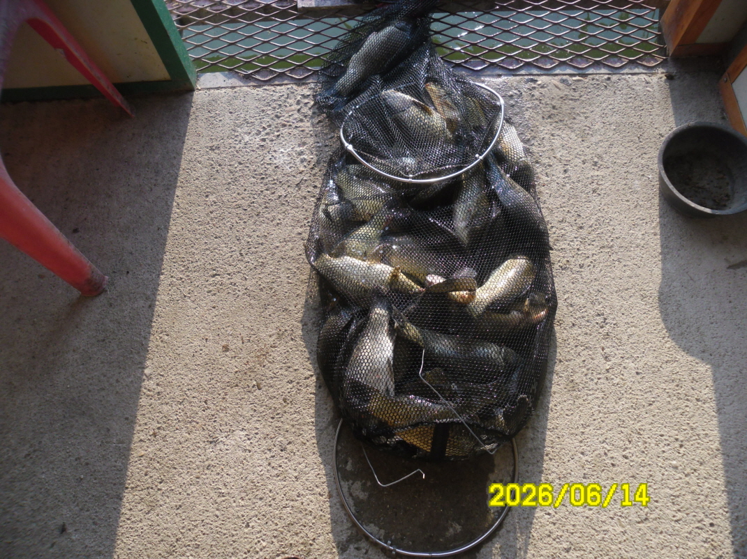 SAM_0534.JPG