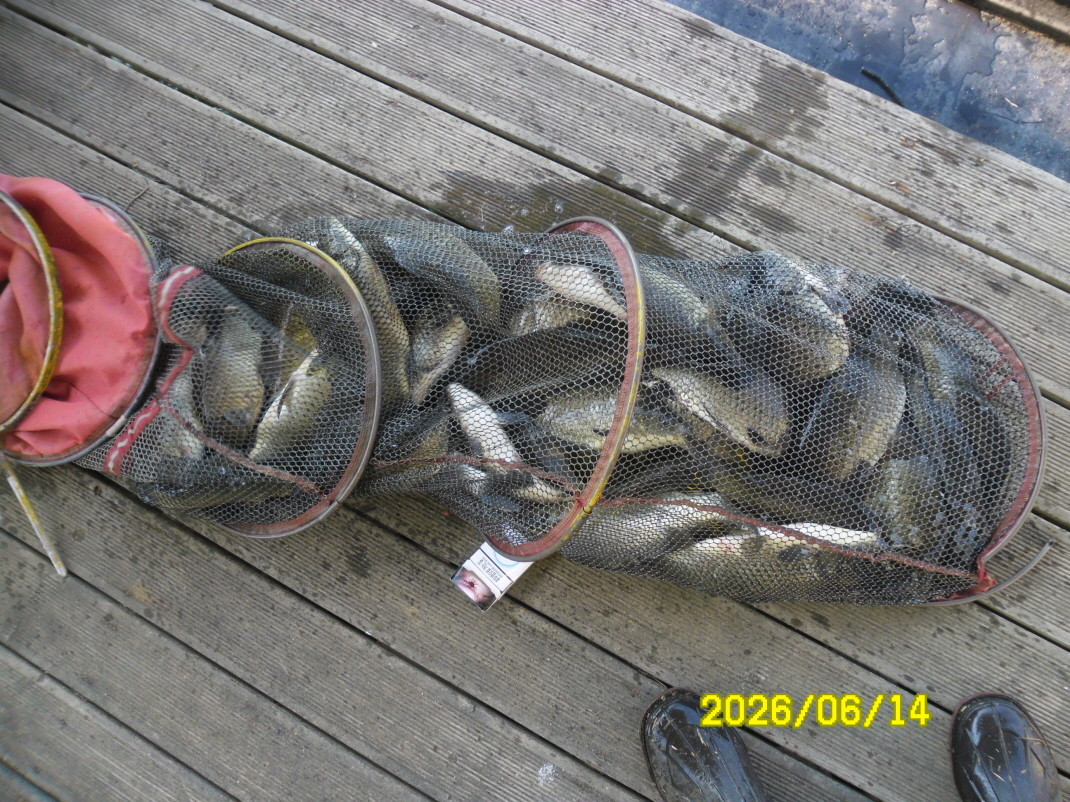 SAM_0539.JPG