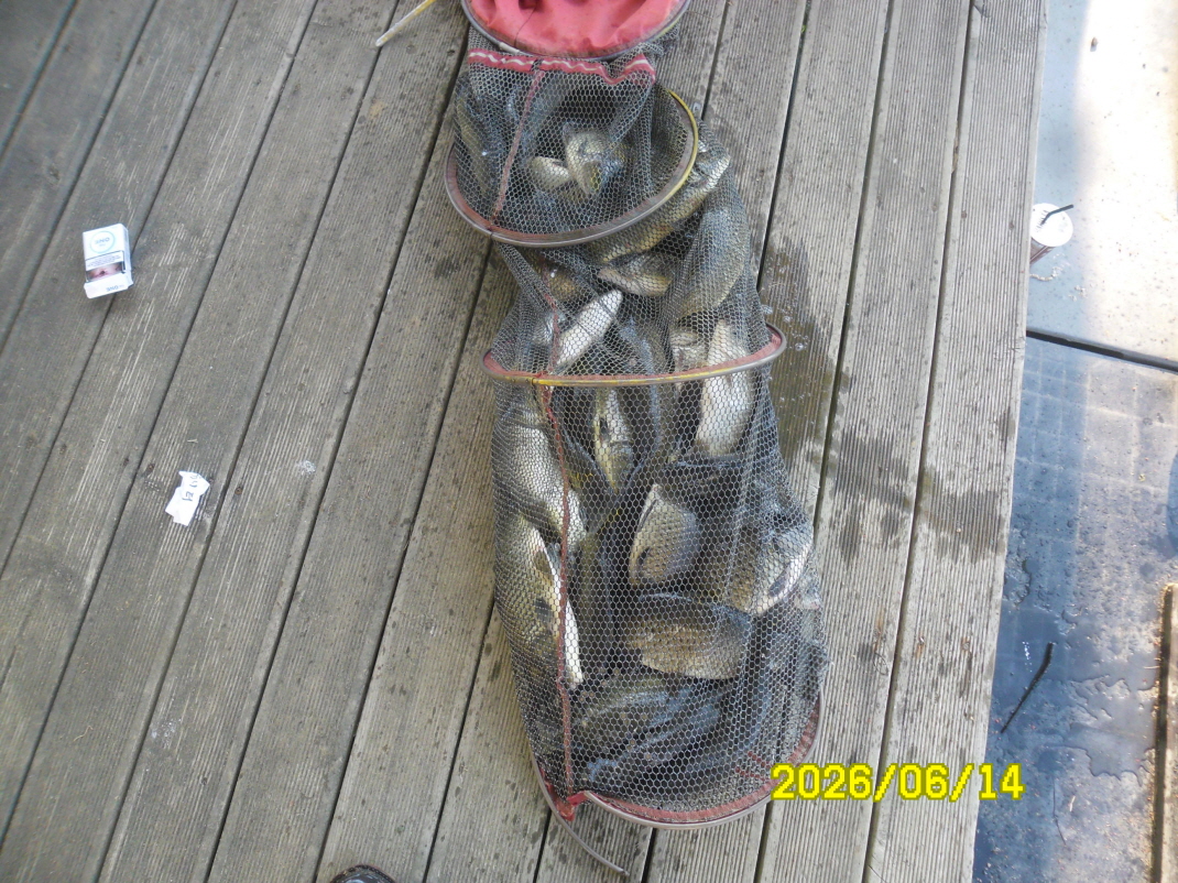 SAM_0540.JPG