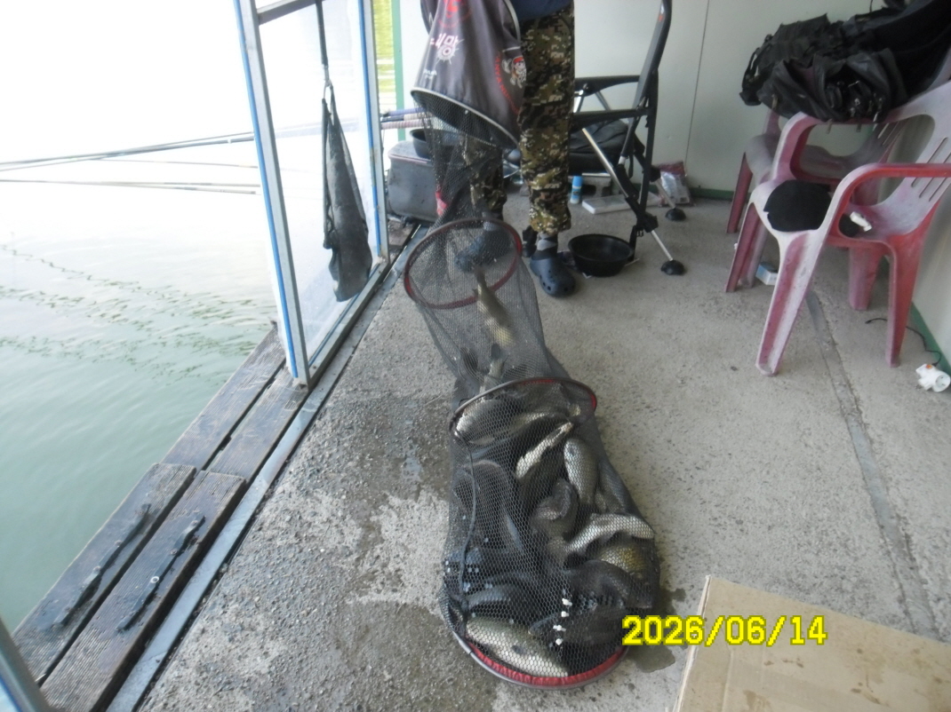 SAM_0548.JPG