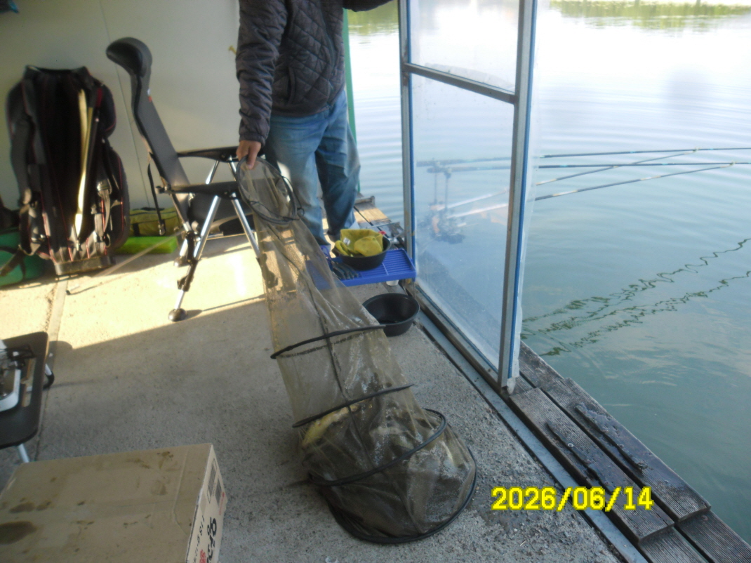 SAM_0545.JPG