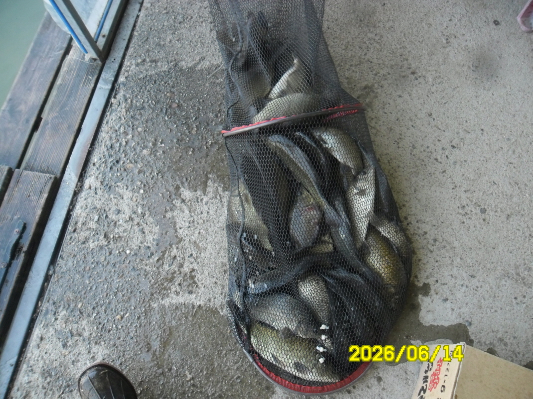 SAM_0550.JPG