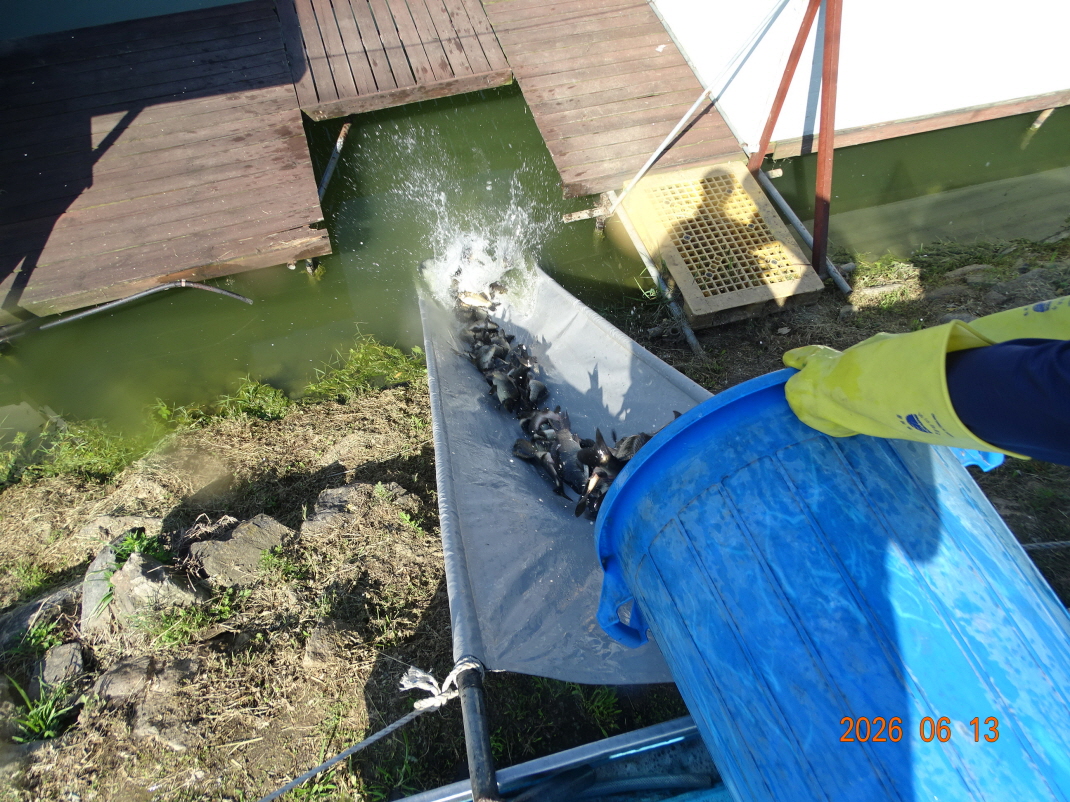 DSC04780.JPG