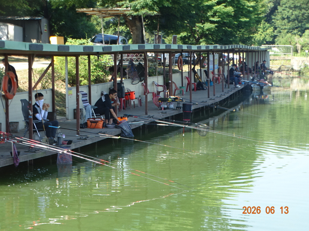 DSC04811.JPG