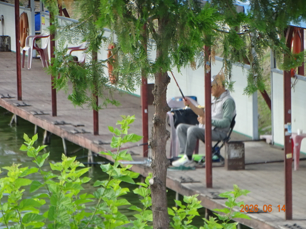 DSC04940.JPG
