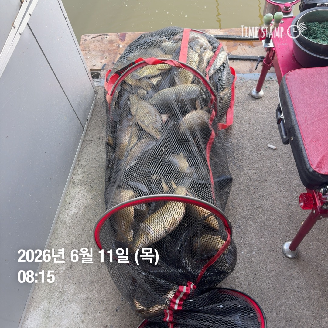 KakaoTalk_20260616_085521425_29.jpg