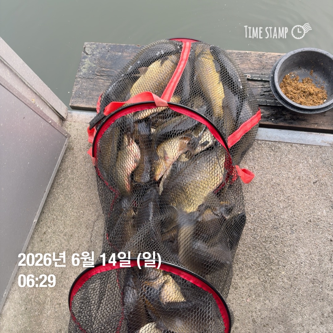 KakaoTalk_20260616_085521425_20.jpg