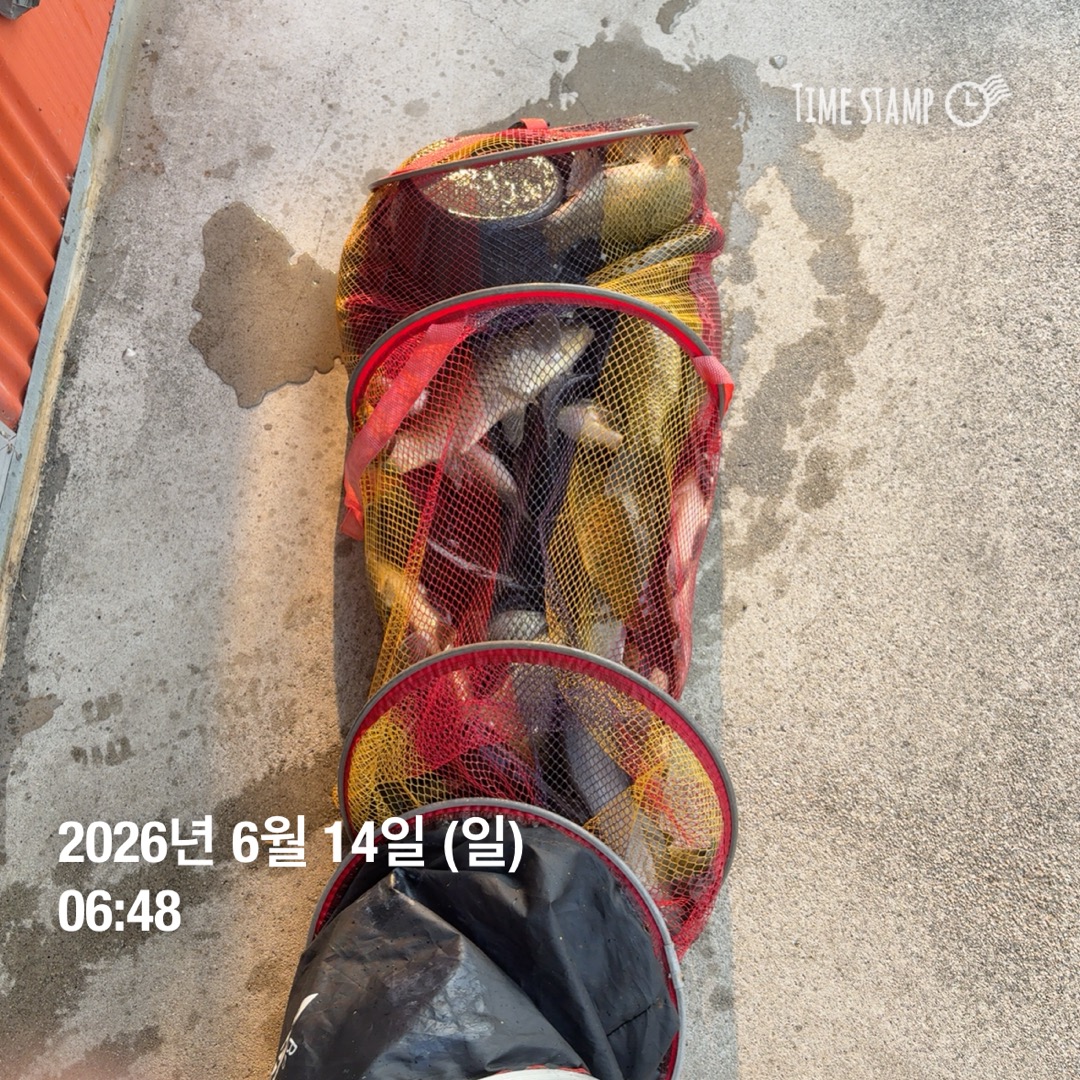 KakaoTalk_20260616_085521425_15.jpg