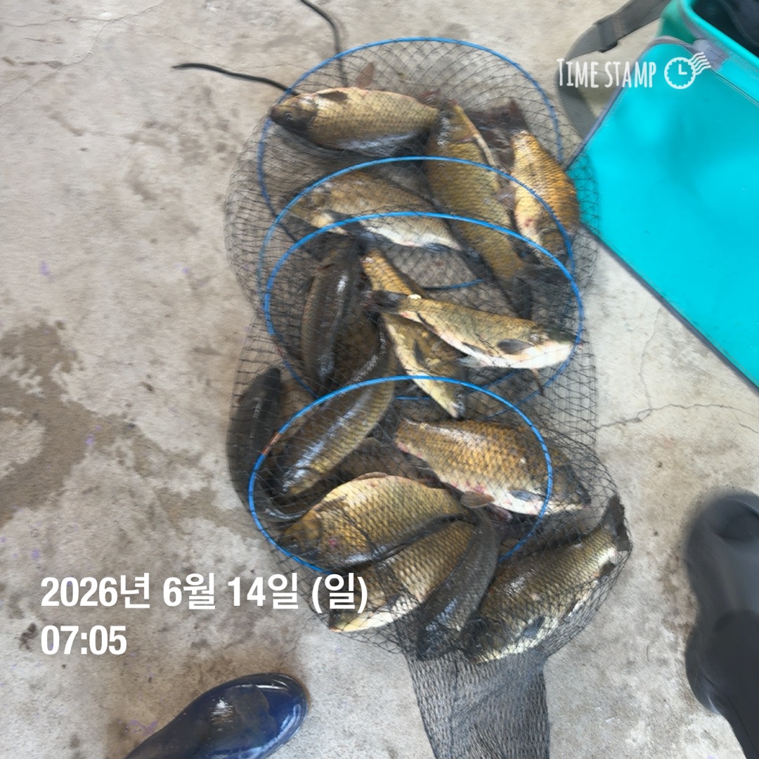 KakaoTalk_20260616_085521425_14.jpg