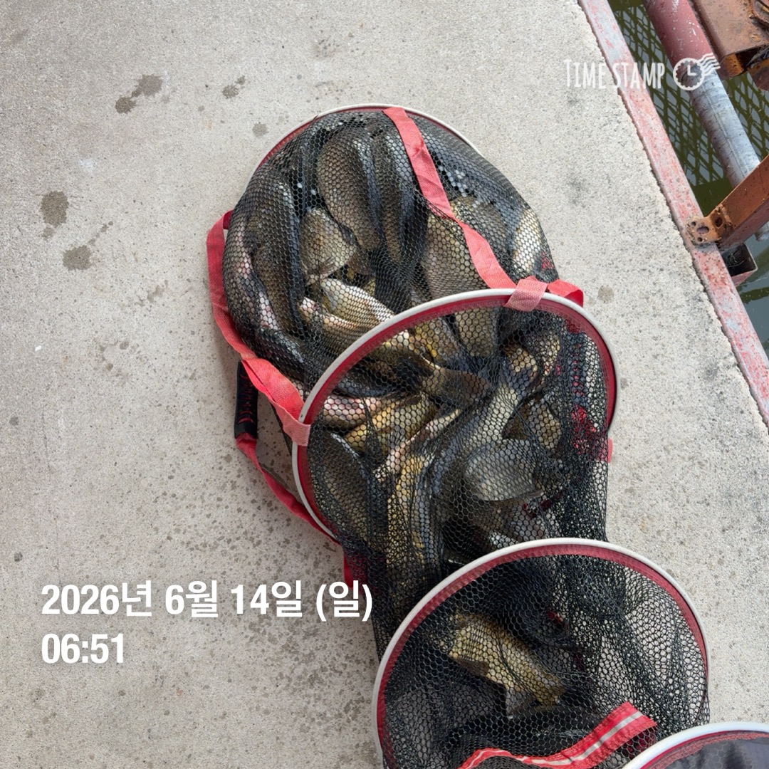 KakaoTalk_20260616_085521425_13.jpg