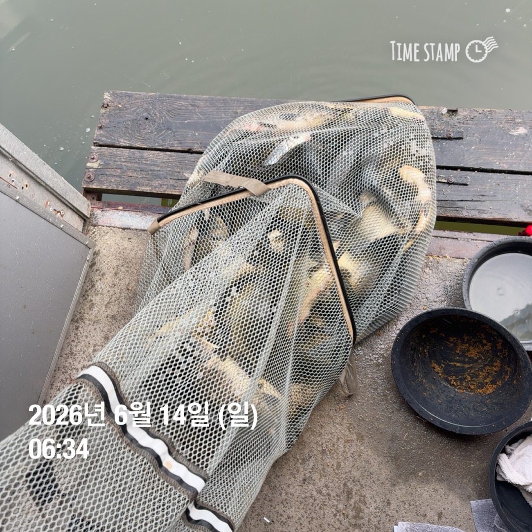 KakaoTalk_20260616_085521425_17.jpg