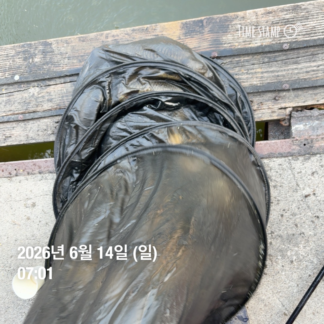 KakaoTalk_20260616_085521425_12.jpg