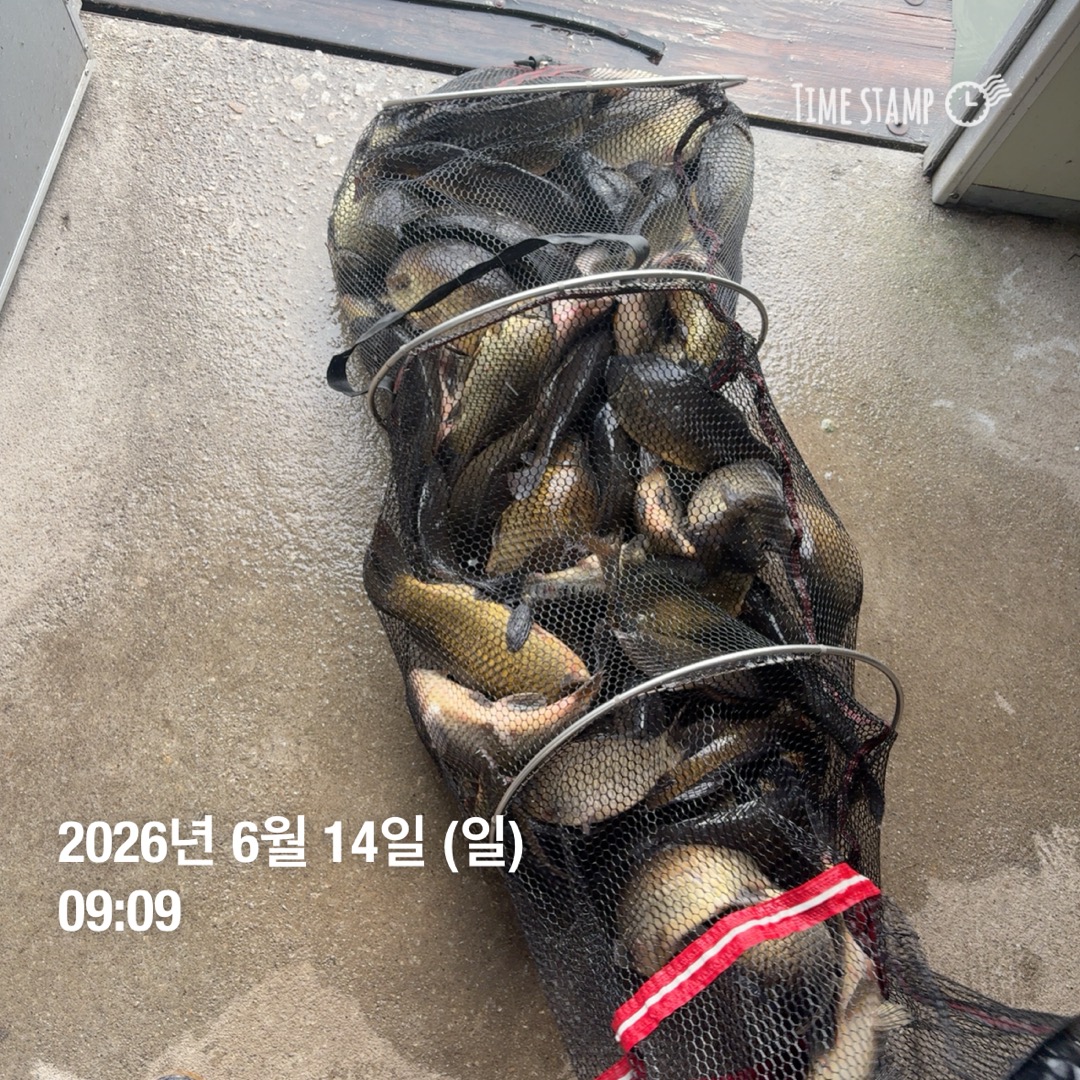 KakaoTalk_20260616_085521425_04.jpg