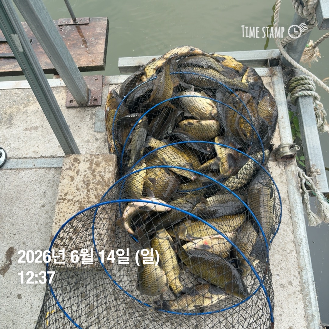 KakaoTalk_20260616_085521425_02.jpg