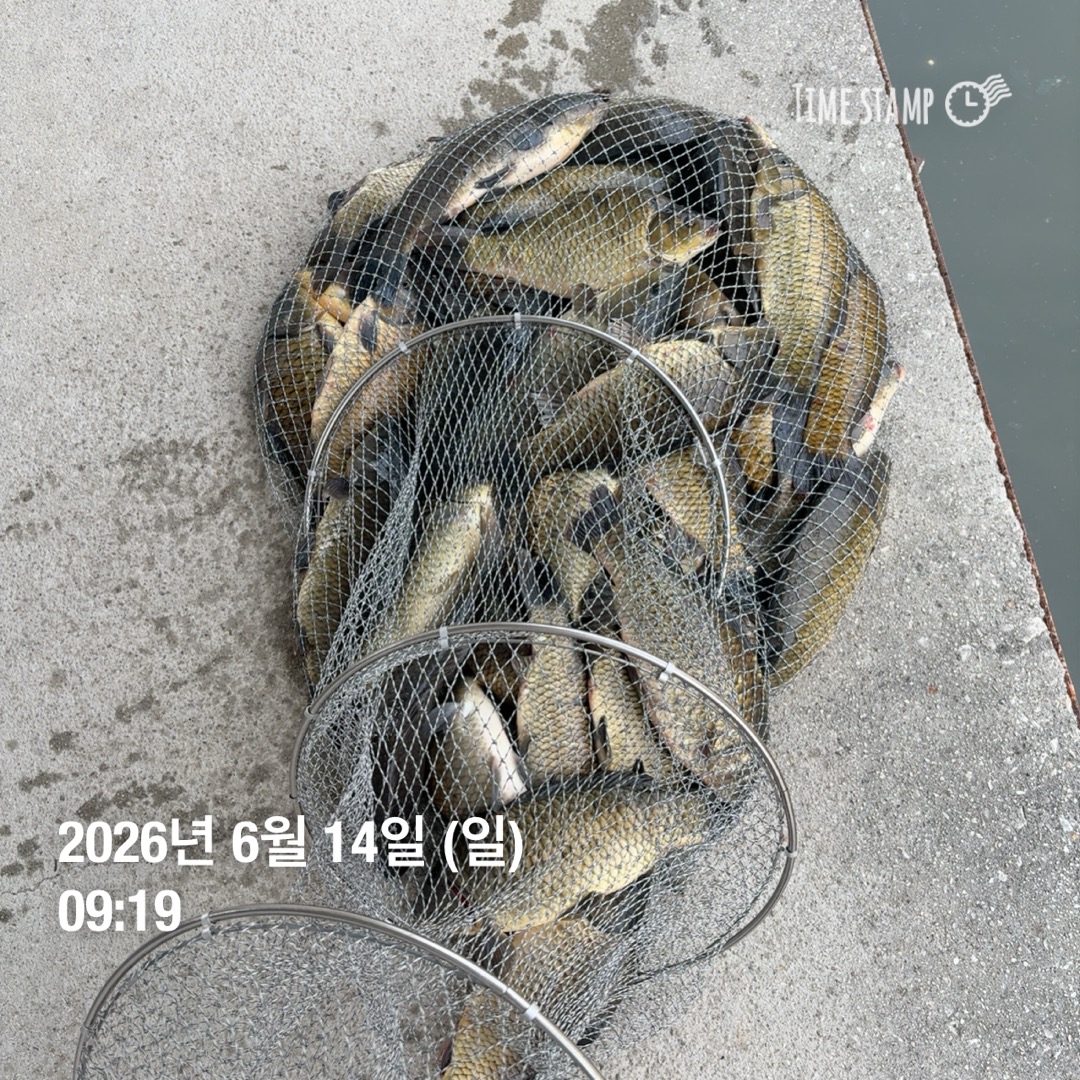 KakaoTalk_20260616_085521425_03.jpg