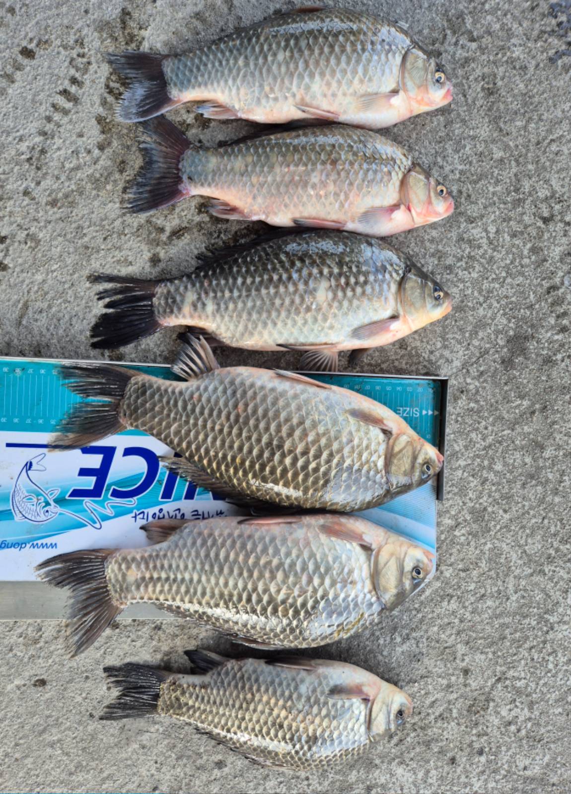 35-6���� (1).jpg