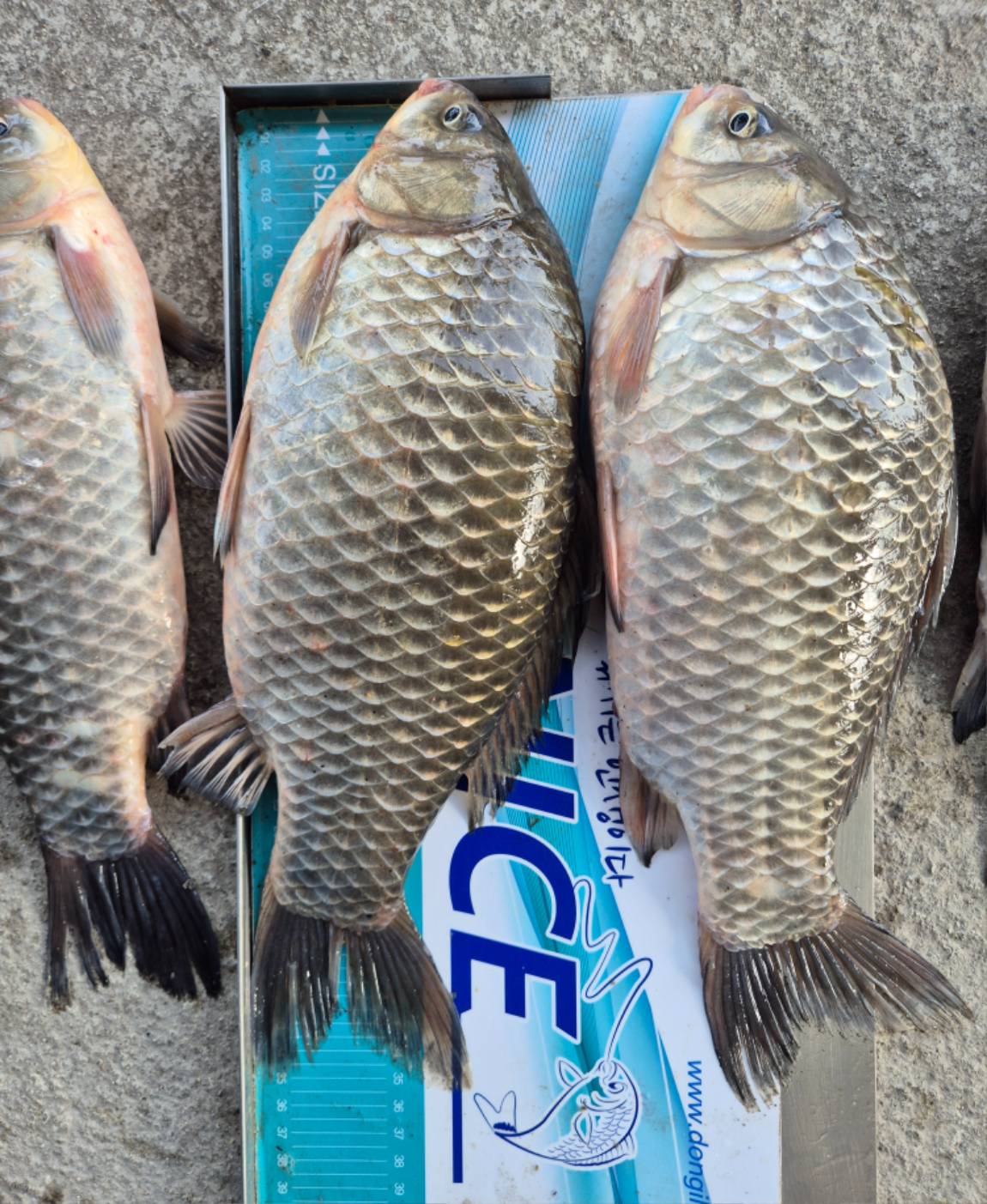 35-6���� (3).jpg