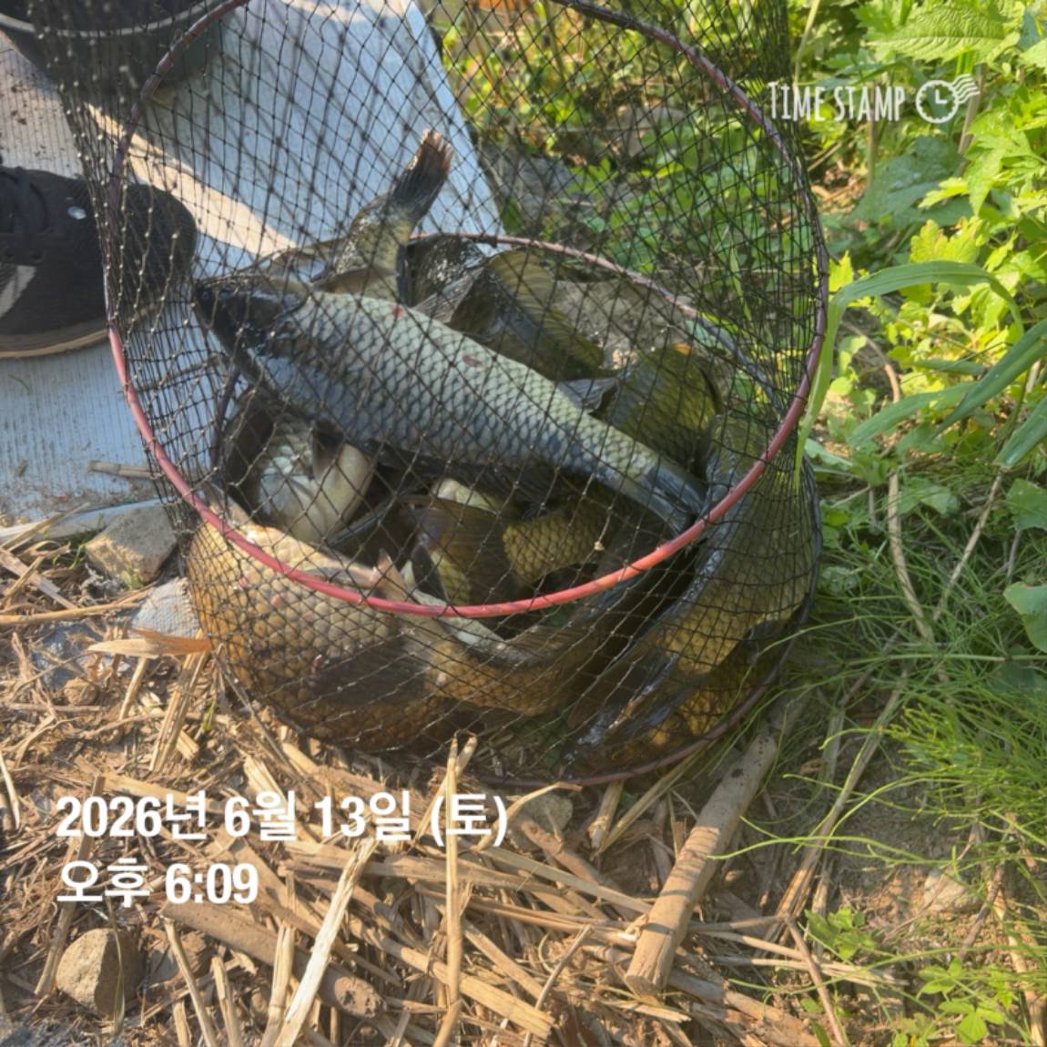 KakaoTalk_20260616_143632980_01.jpg