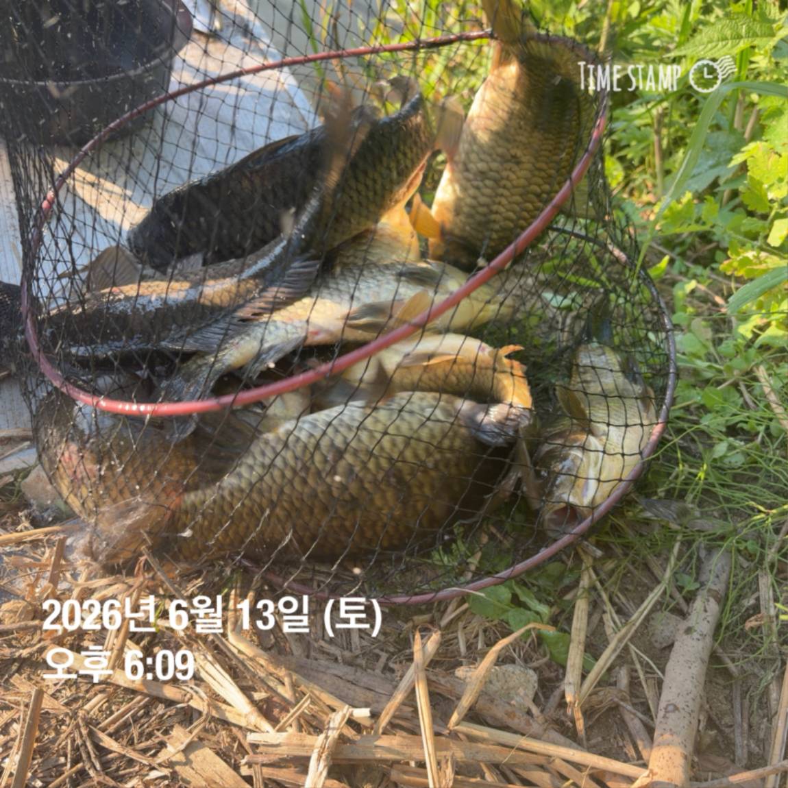 KakaoTalk_20260616_143632980_02.jpg