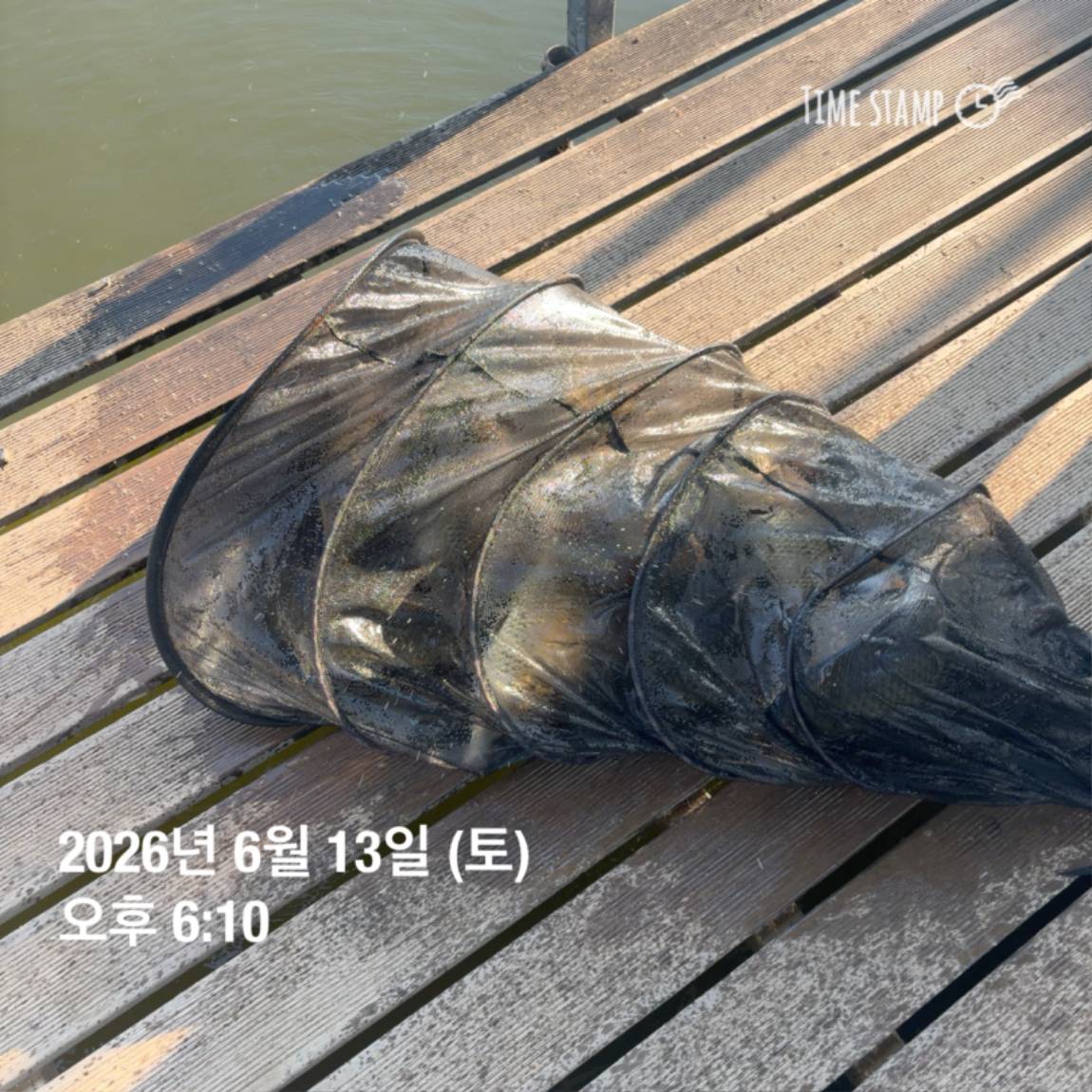 KakaoTalk_20260616_143632980_03.jpg