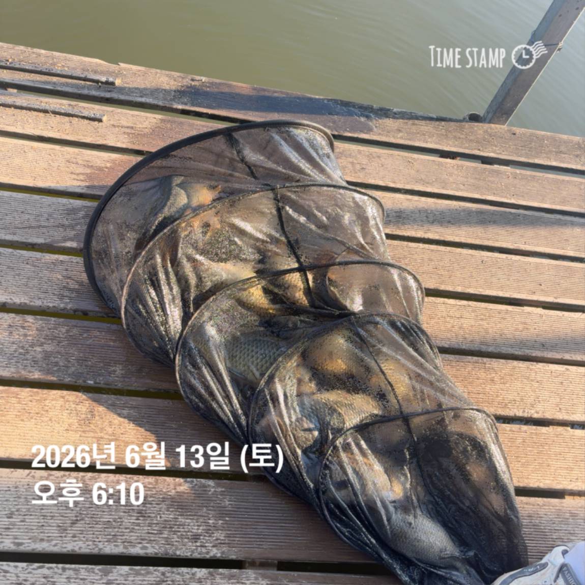 KakaoTalk_20260616_143632980_05.jpg