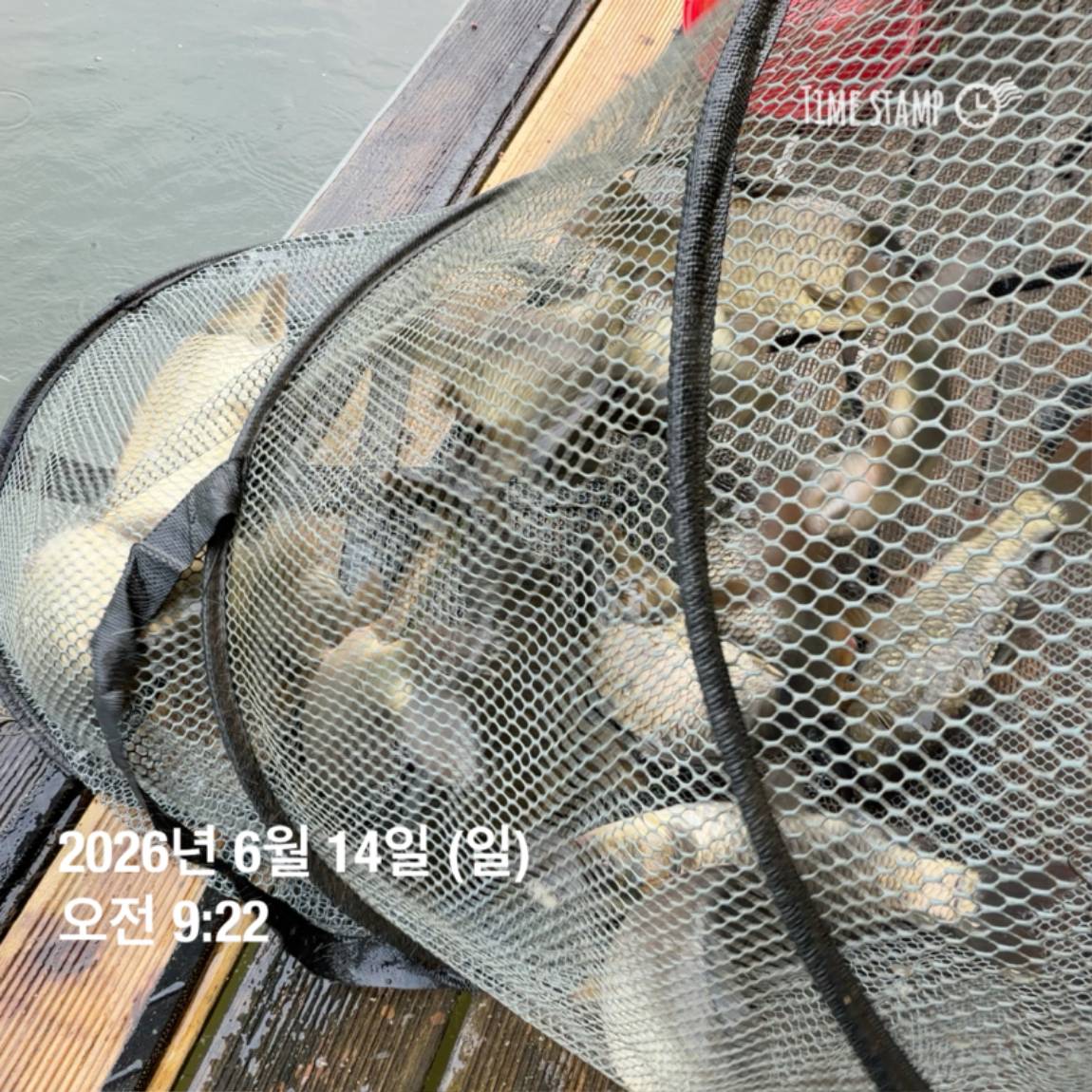 KakaoTalk_20260616_143632980_08.jpg
