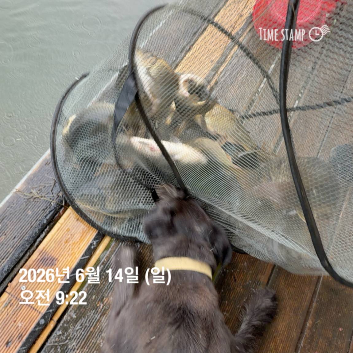 KakaoTalk_20260616_143632980_09.jpg
