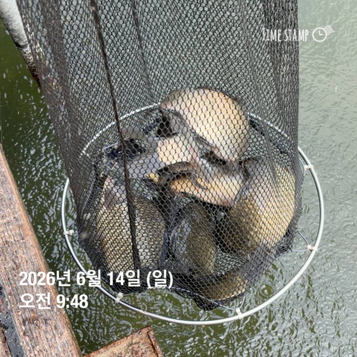 KakaoTalk_20260616_143632980_10.jpg
