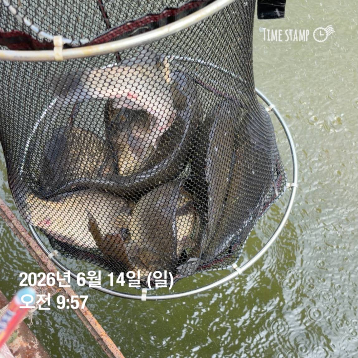KakaoTalk_20260616_143632980_12.jpg