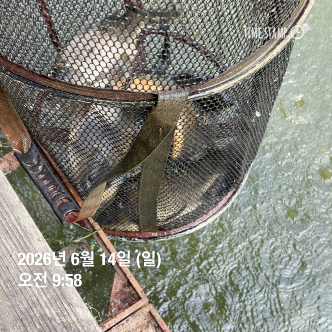 KakaoTalk_20260616_143632980_13.jpg
