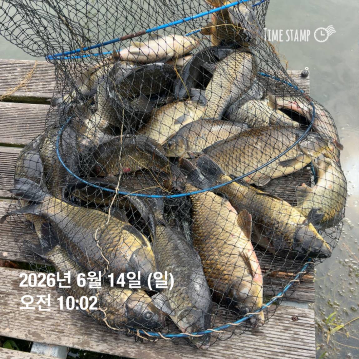 KakaoTalk_20260616_143632980_15.jpg