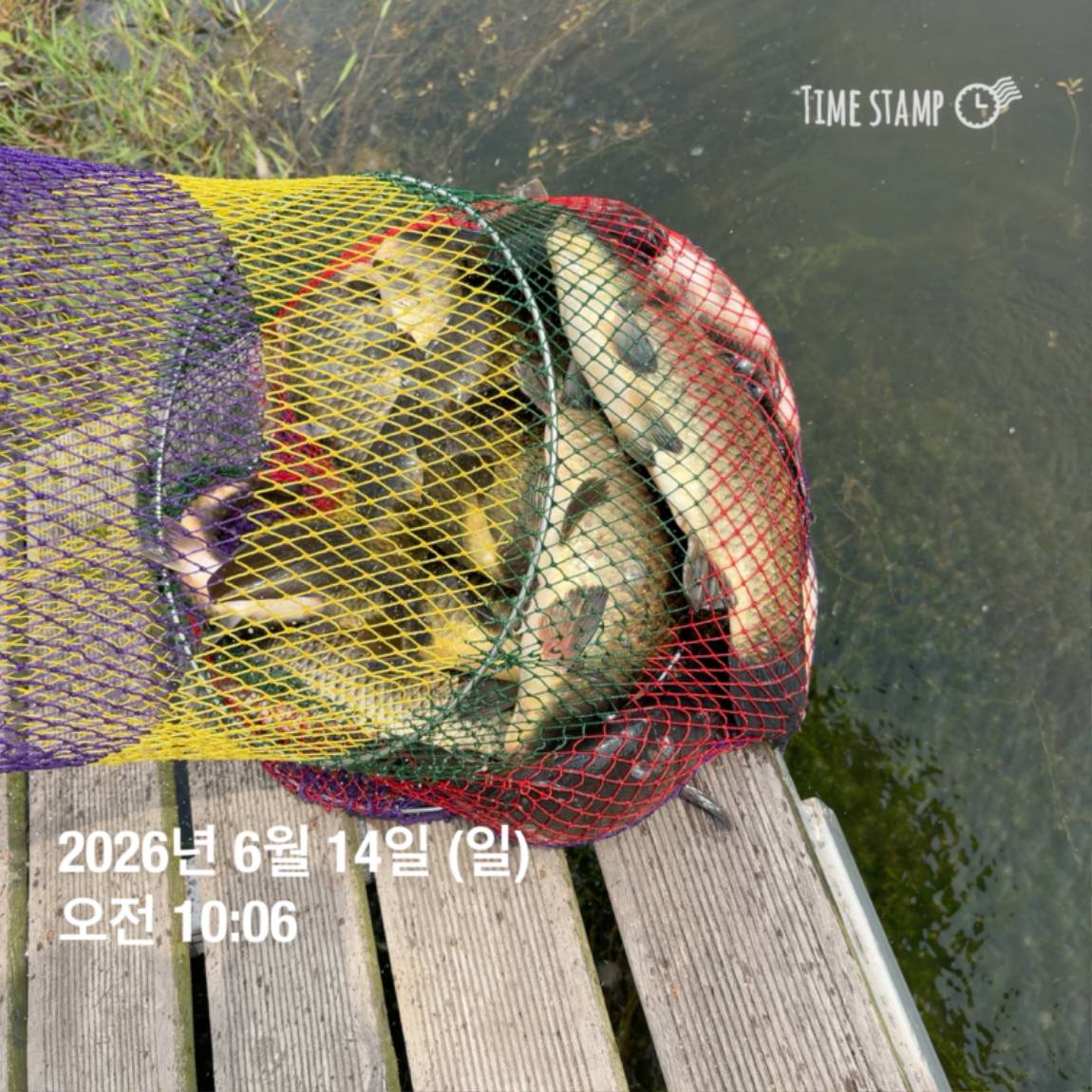 KakaoTalk_20260616_143632980_17.jpg