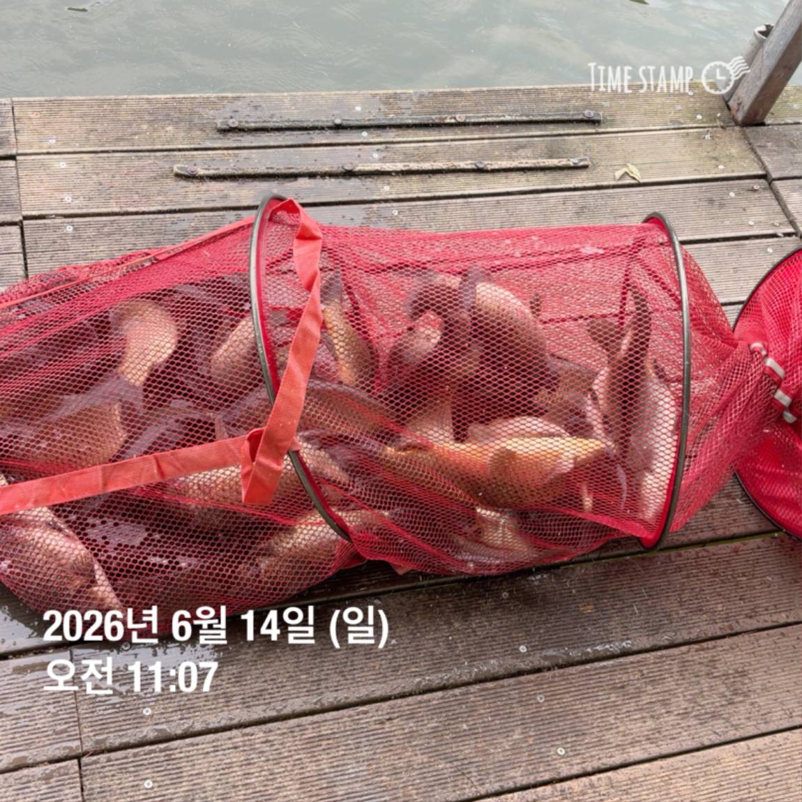 KakaoTalk_20260616_143632980_21.jpg