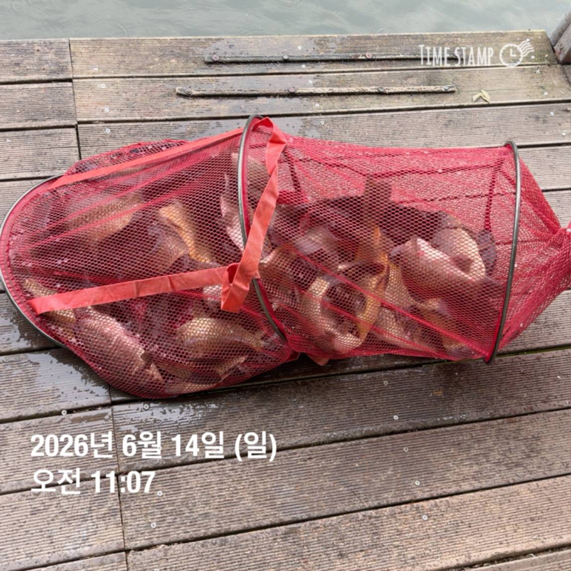 KakaoTalk_20260616_143632980_22.jpg