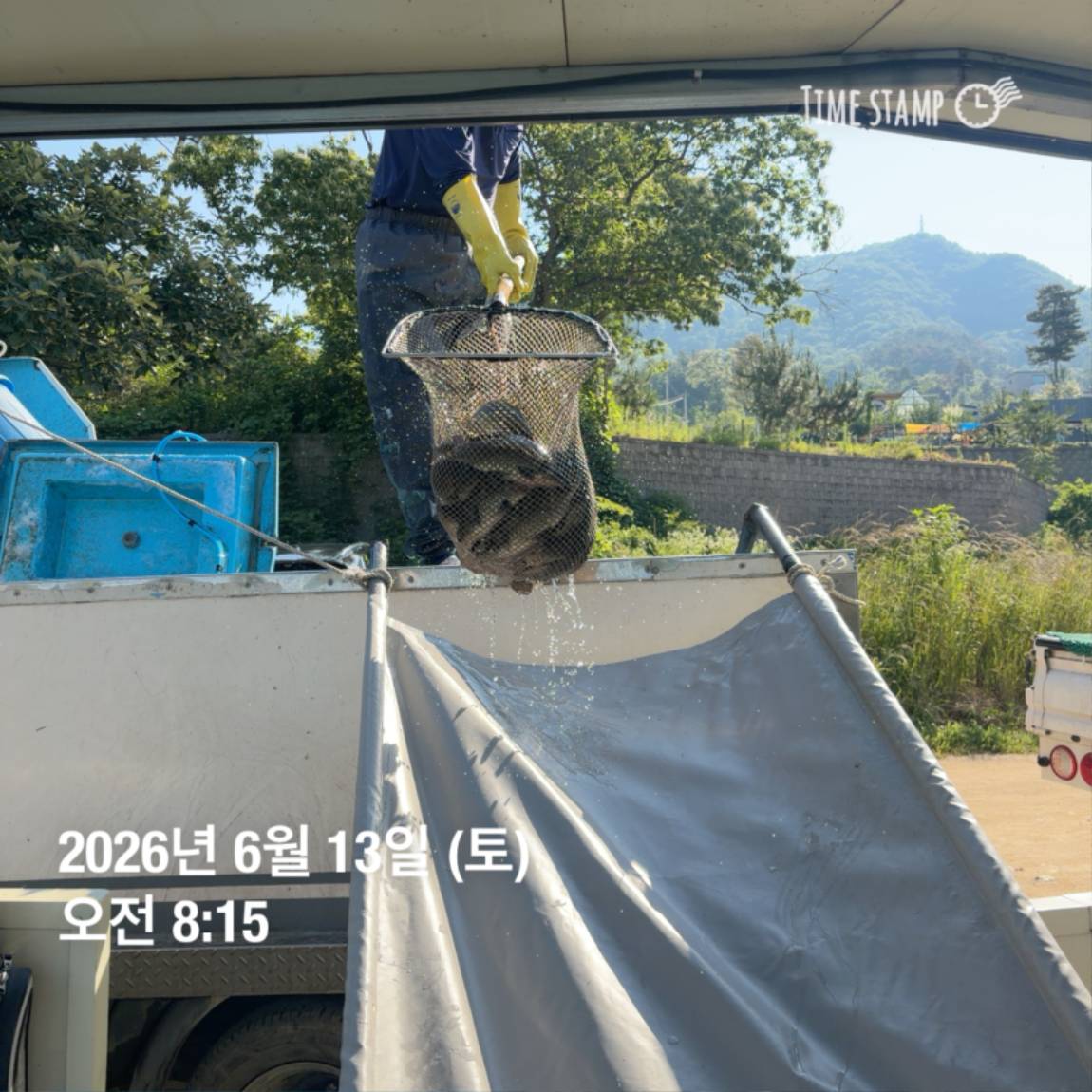 KakaoTalk_20260616_143632980_24.jpg