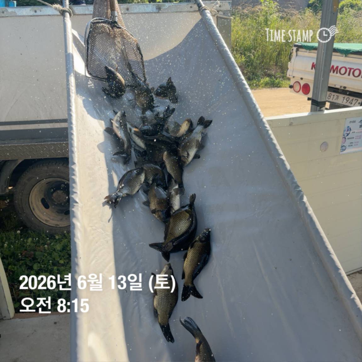 KakaoTalk_20260616_143632980_25.jpg