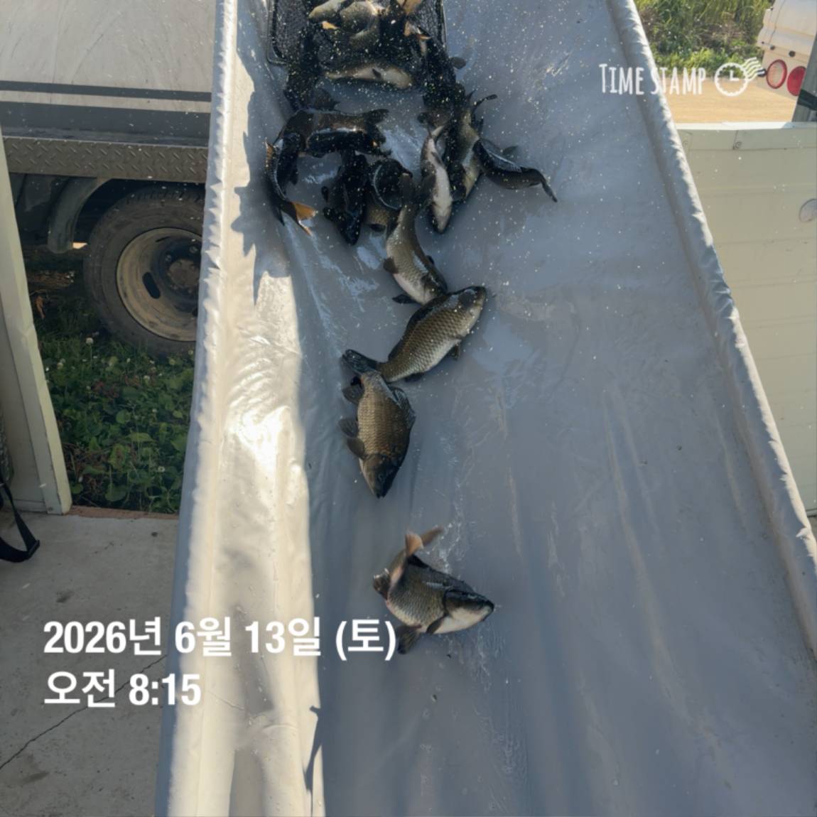 KakaoTalk_20260616_143632980_27.jpg
