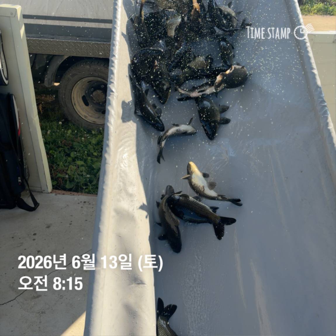 KakaoTalk_20260616_143638806.jpg
