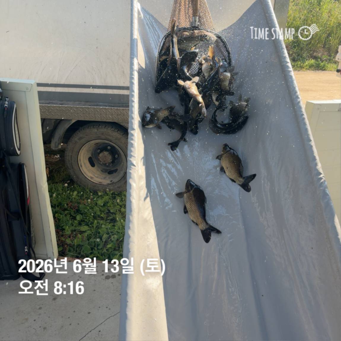 KakaoTalk_20260616_143638806_06.jpg