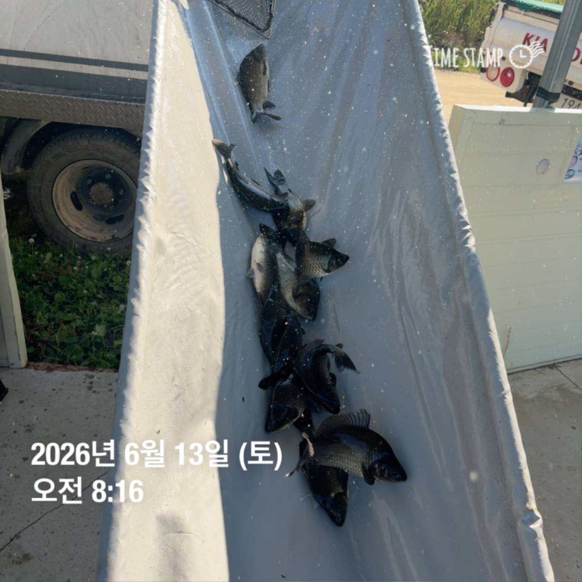 KakaoTalk_20260616_143638806_13.jpg
