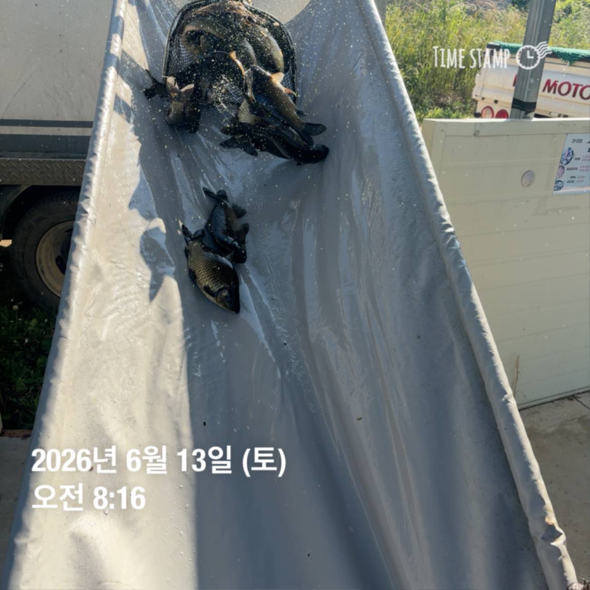 KakaoTalk_20260616_143638806_12.jpg