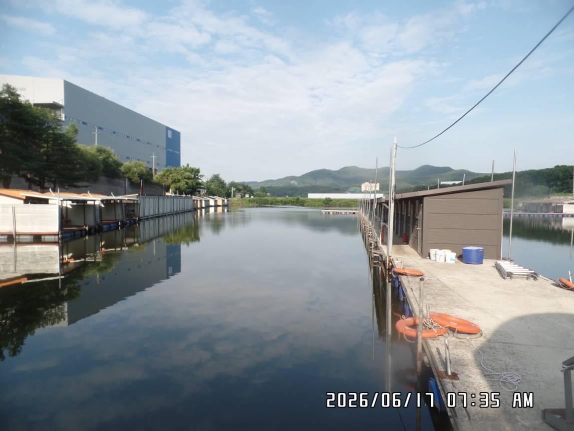 SAM_5451.JPG