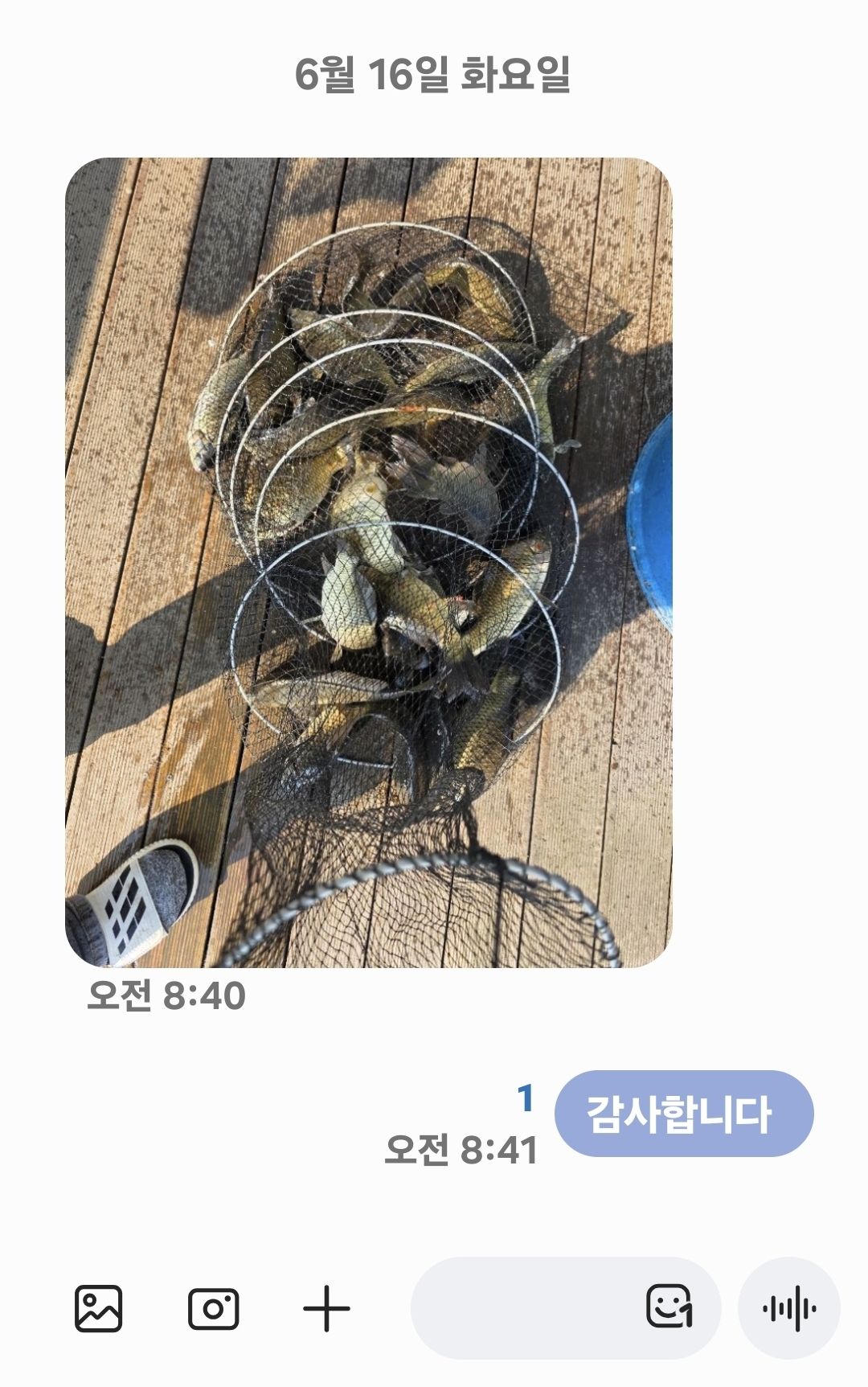 Screenshot_20260616_084118_Messages.jpg
