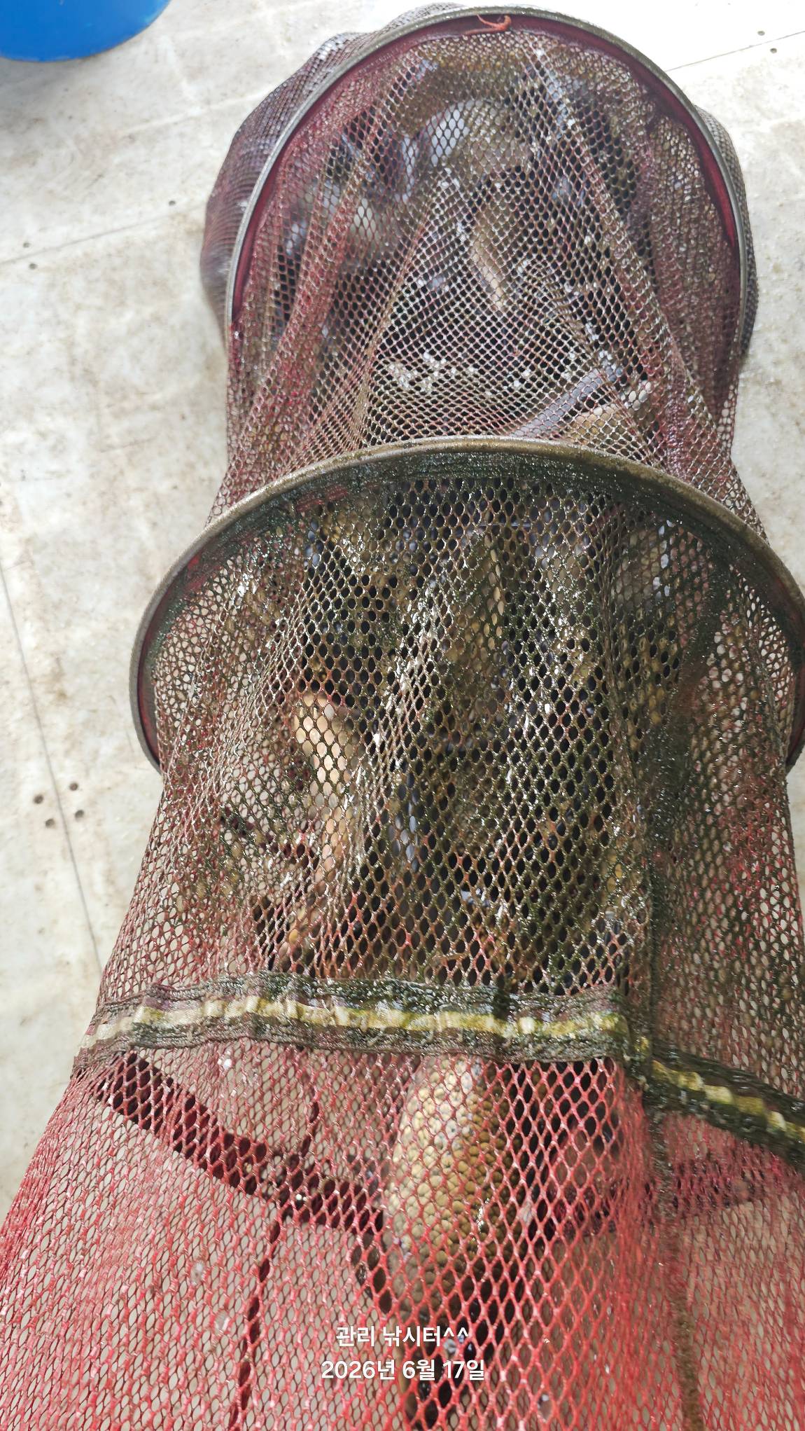 20260617_173110.jpg