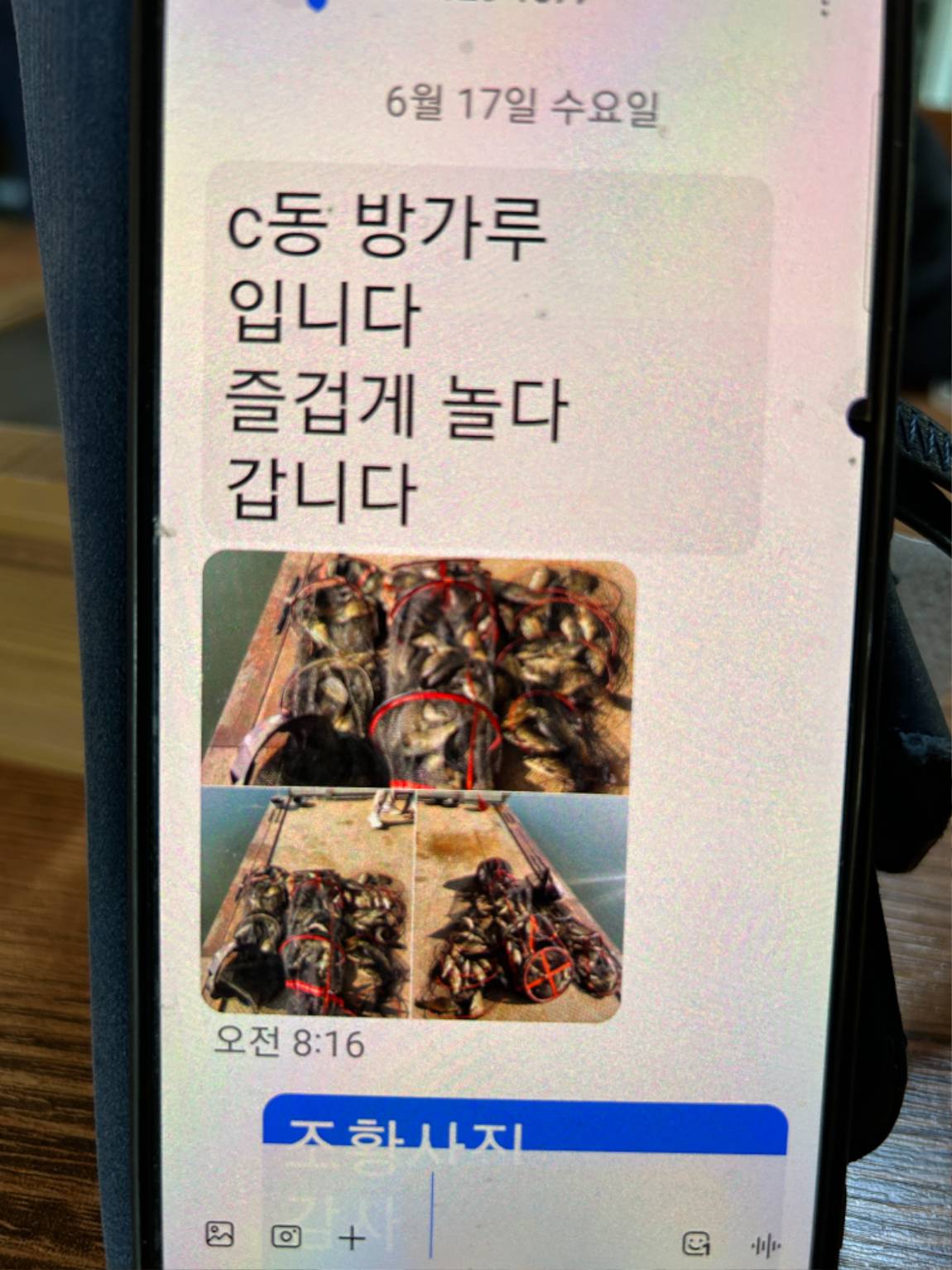 KakaoTalk_20260618_105244985_13.jpg